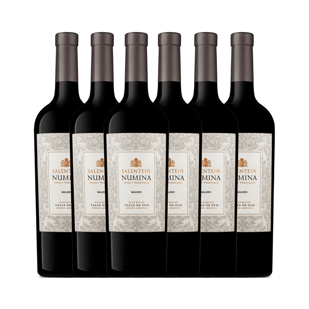 Malbec Salentein Numina 750 Ml.