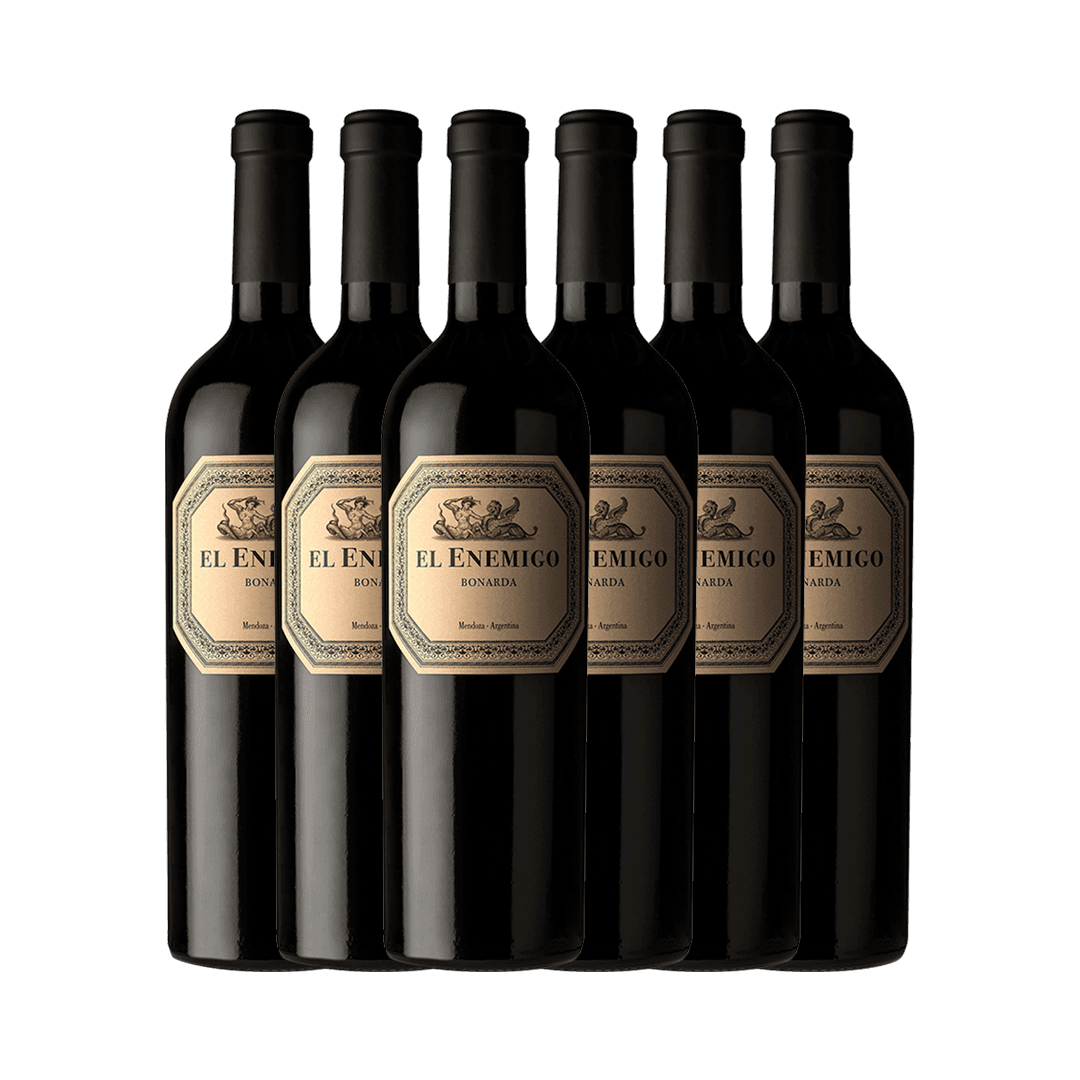 Bonarda Aleanna el Enemigo 750 ml