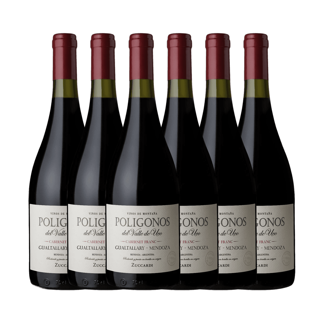 Cabernet Franc Zuccardi Poligonos Gualtallary 750 Ml.